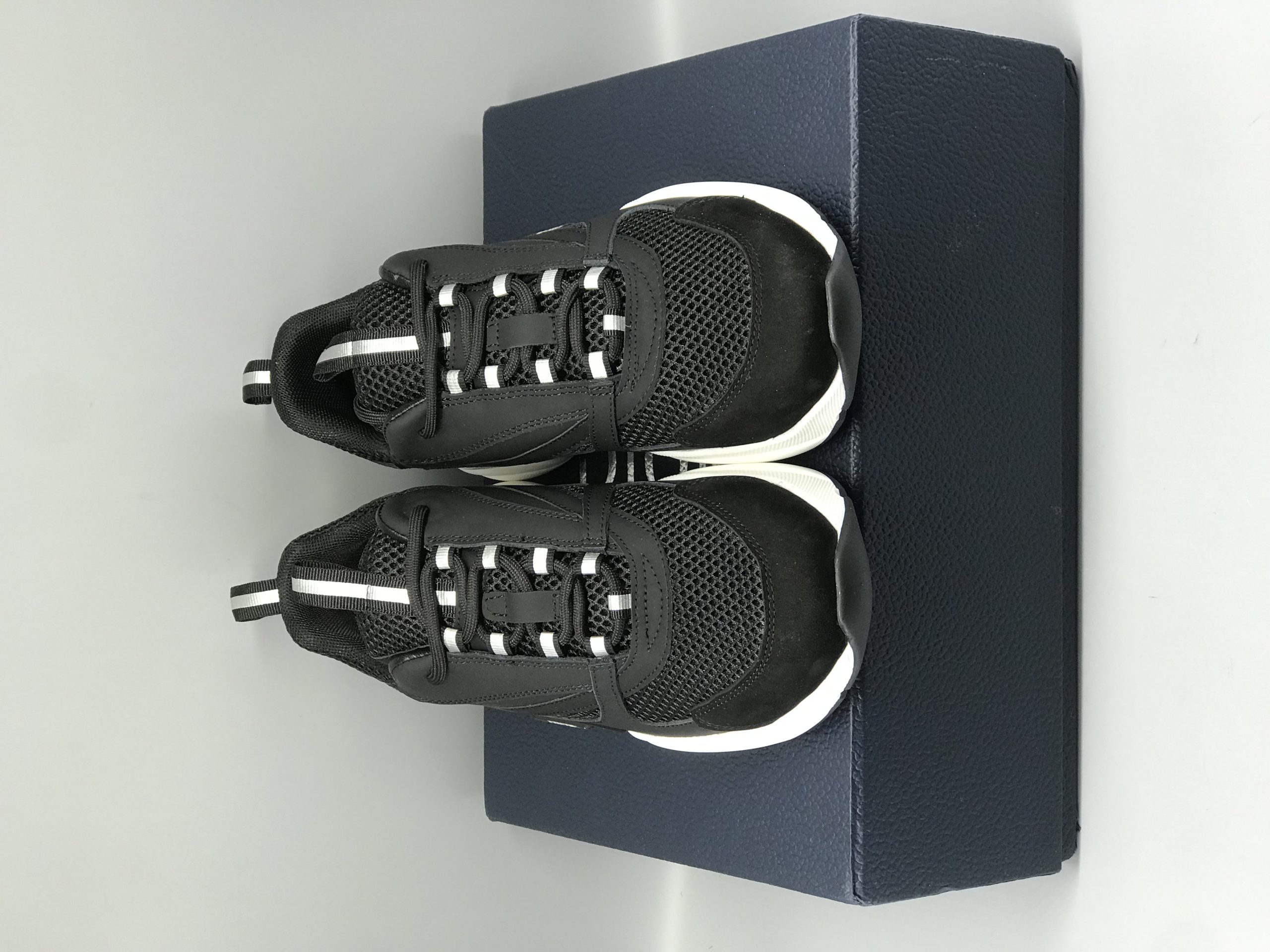 Dior B22 Black White